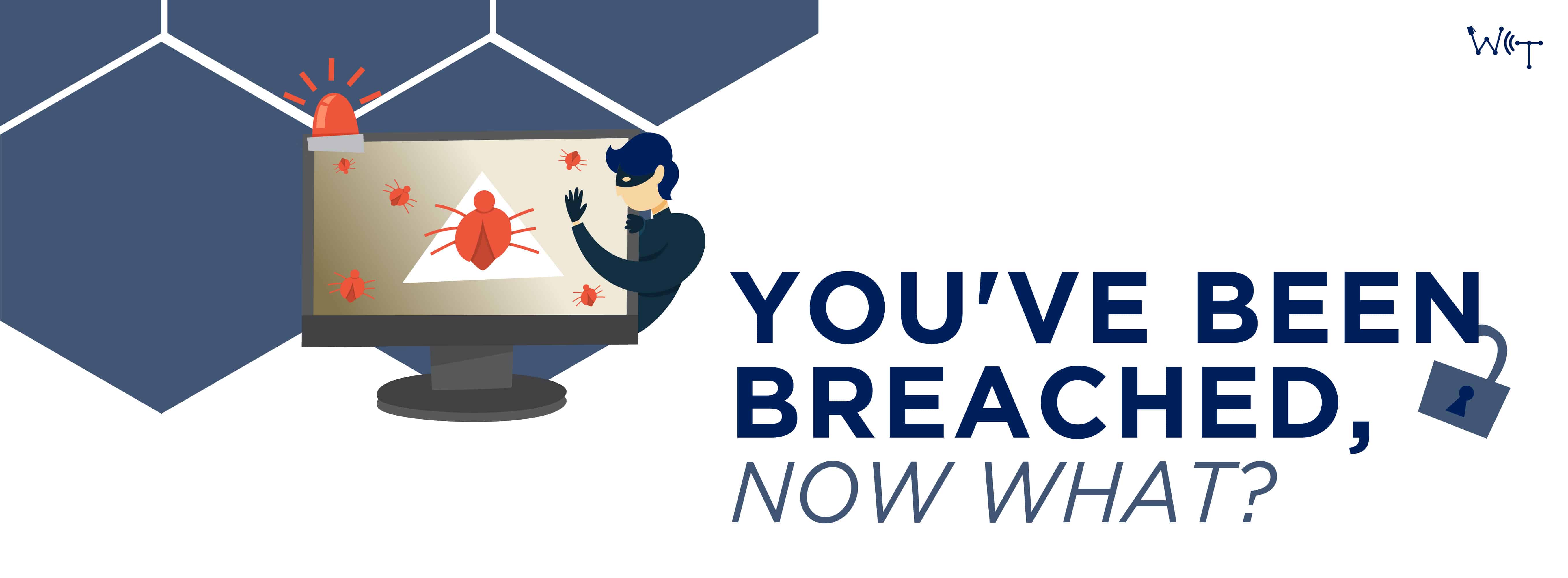 You've Been Breach, Now What?